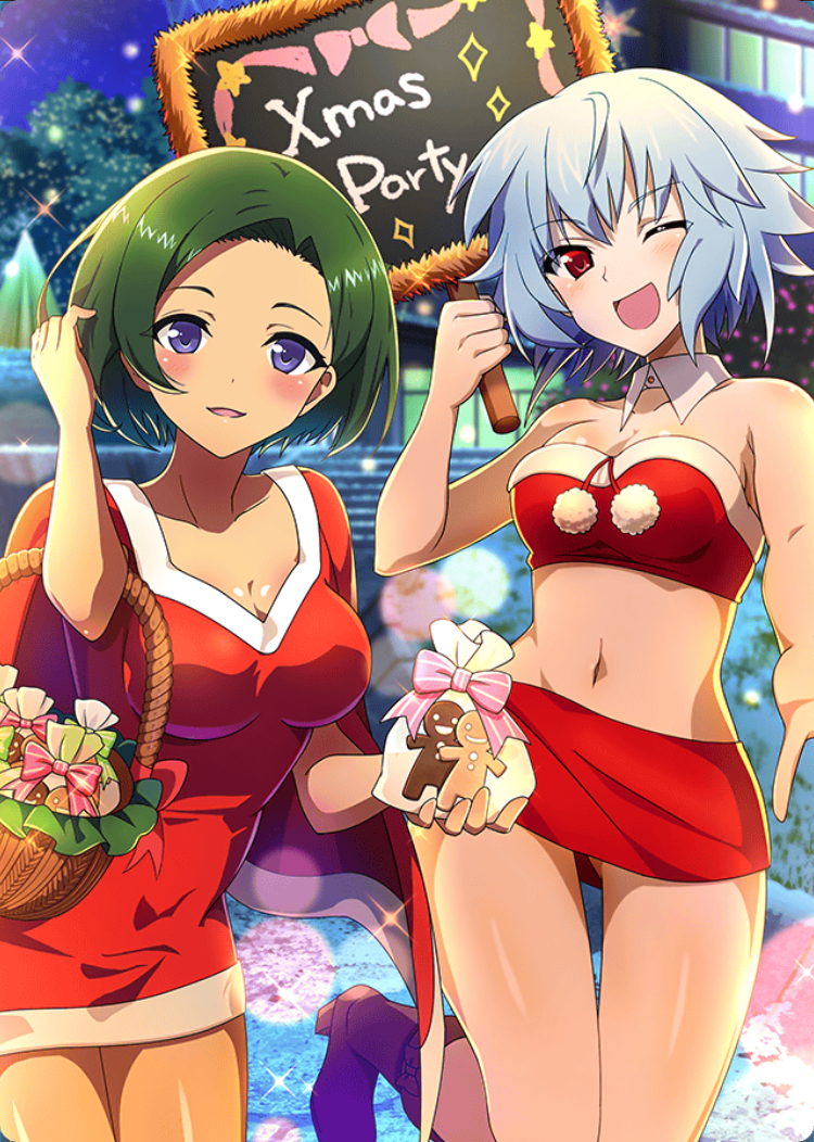 Xmasヴィシュヌ＆楯無.png