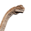 camarasaurus.png