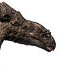 crichtonsaurus.png