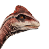 deinonychus.png