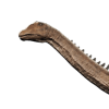 diplodocus.png