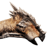 dracorex.png