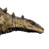 huayangosaurus.png