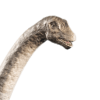 mamenchisaurus_0.png