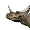 styracosaurus.png