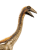archaeornithomimus.png