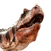 ceratosaurus.png