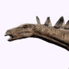 kentrosaurus.png