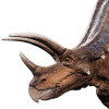pentaceratops.png